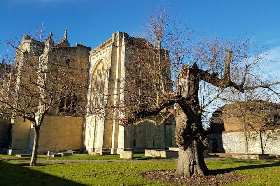 Day trips from london to Winchester Cathedral UK Travelmelodies