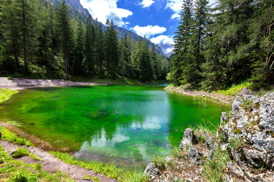 gruner see austria