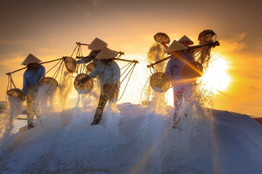 hon khoi salt fields vietnam