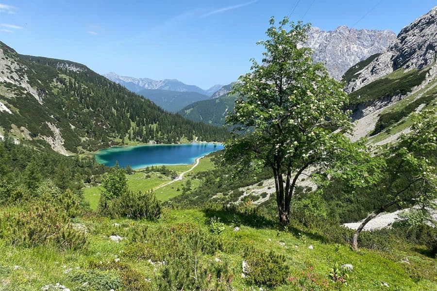 seebensee lake view from hiking between seebensee and drachensee