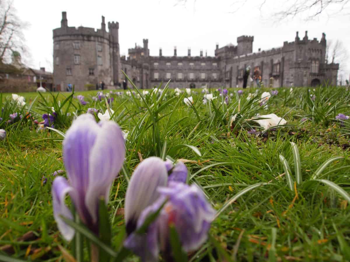 top things to do with kids in ireland culture art