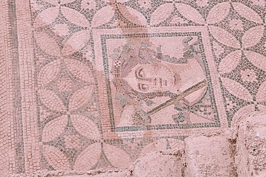 dionysos mosaic terrace houses ephasus selcuk turkey