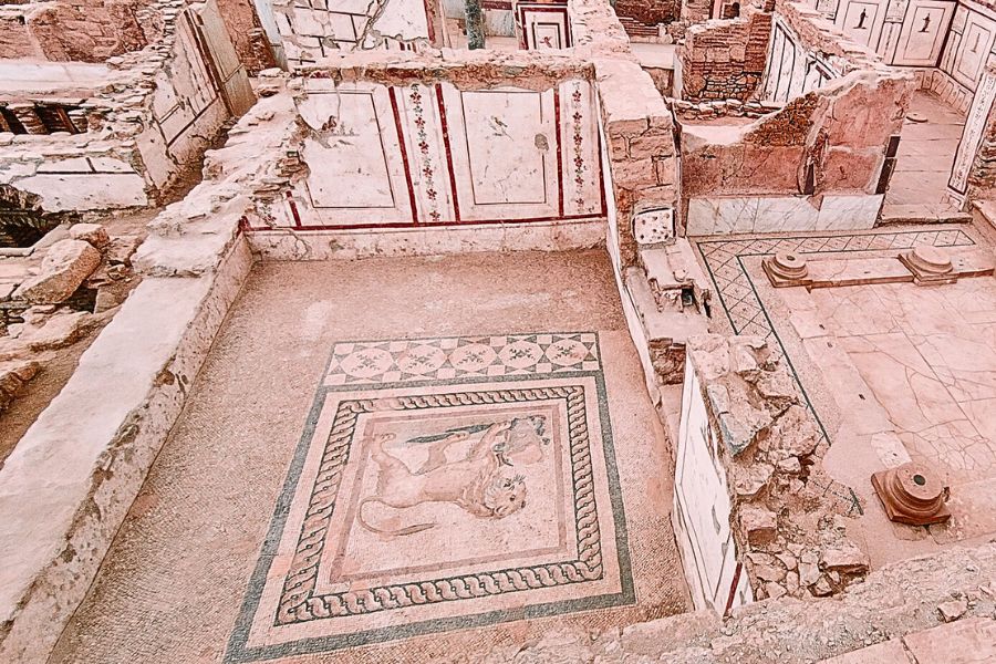 lion mosaic terrace houses ephesus