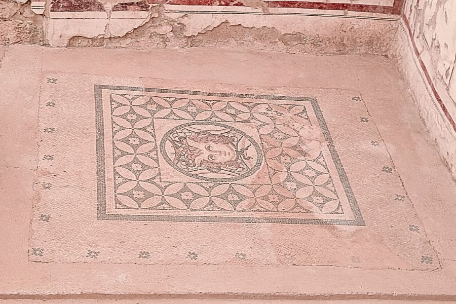 medusa mosaic terrace houses ephesus turkey
