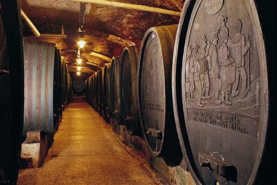 oldest wine cellar ptujska klet slovenia things to do