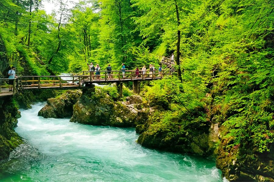walking hiking vintgar gorge wooden walkways zumer galleries 
