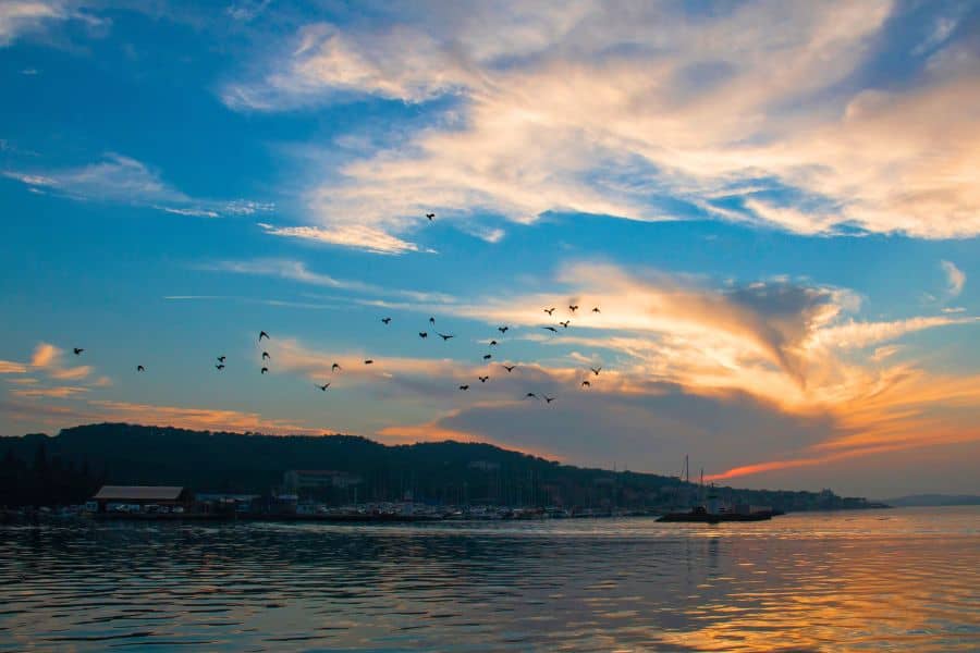 aegean coast ayvalik harbor sunset
