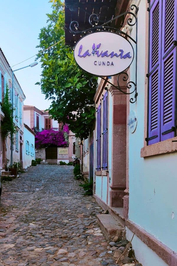 lavanta cunda ayvalik turkey