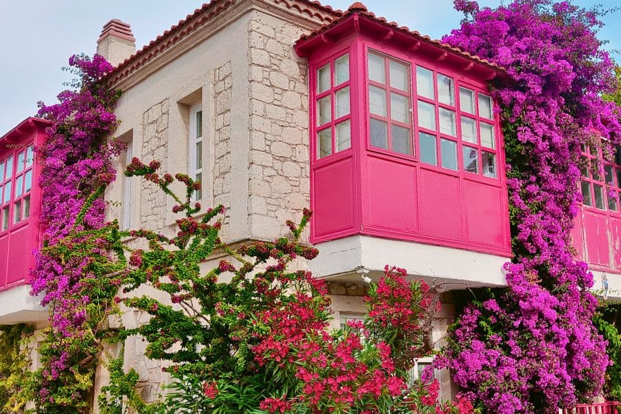 turkey alacati stone house bougainvillea pastels beautiful