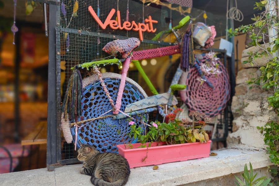 cute cat at velespit cafe antalya old town kaleici