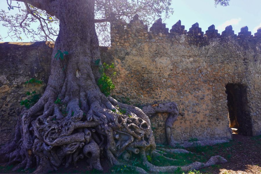 kilwa masoka kisiwani tanzania