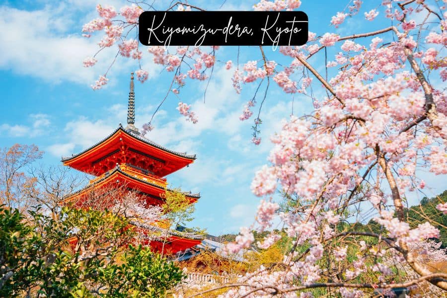 cherry blossoms framing the red pagoda of kiyomizu-dera temple in kyoto, japan, against a bright blue sky