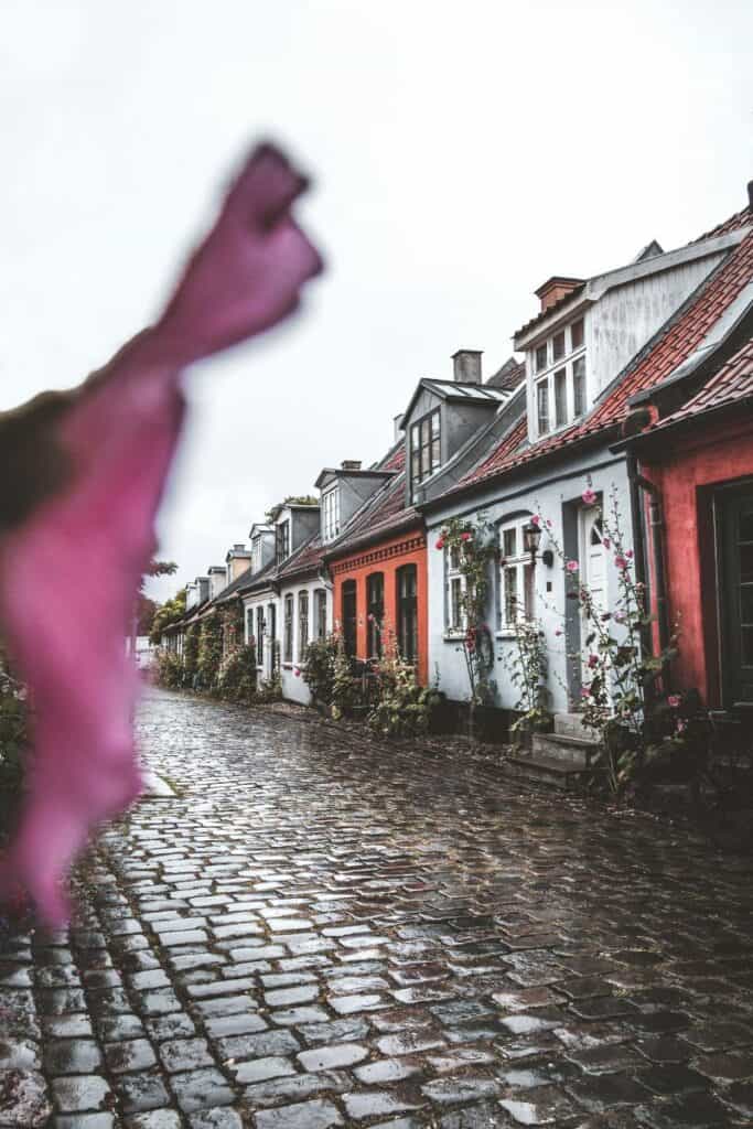 the quaint cobblestone street of Møllestien in Aarhus, Denmark, lined with colorful historic houses and climbing flowers, captured on a rainy day with a soft pink flower blurred in the foreground
