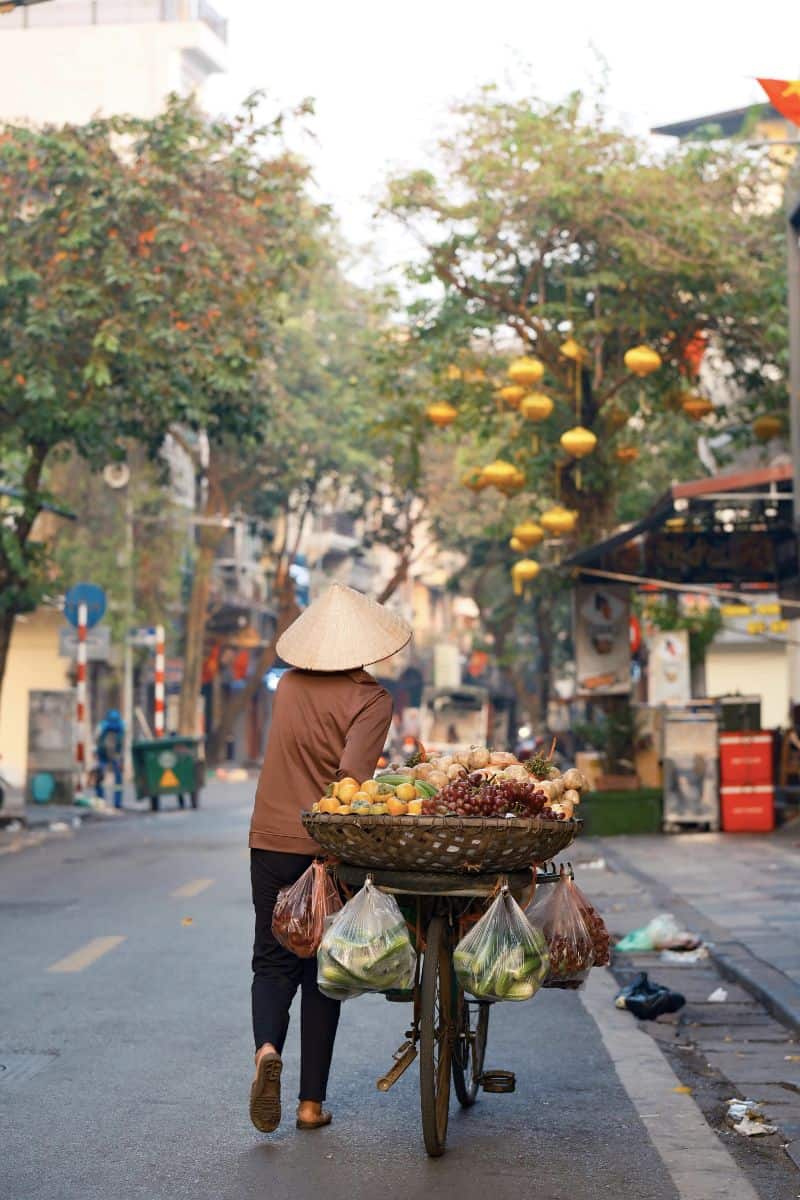 a street vendor in Hanoi, Vietnam wearing a traditional conical hat, pushing a bicycle loaded with baskets of fresh fruits and vegetables through a quiet, tree-lined street decorated with yellow lanterns