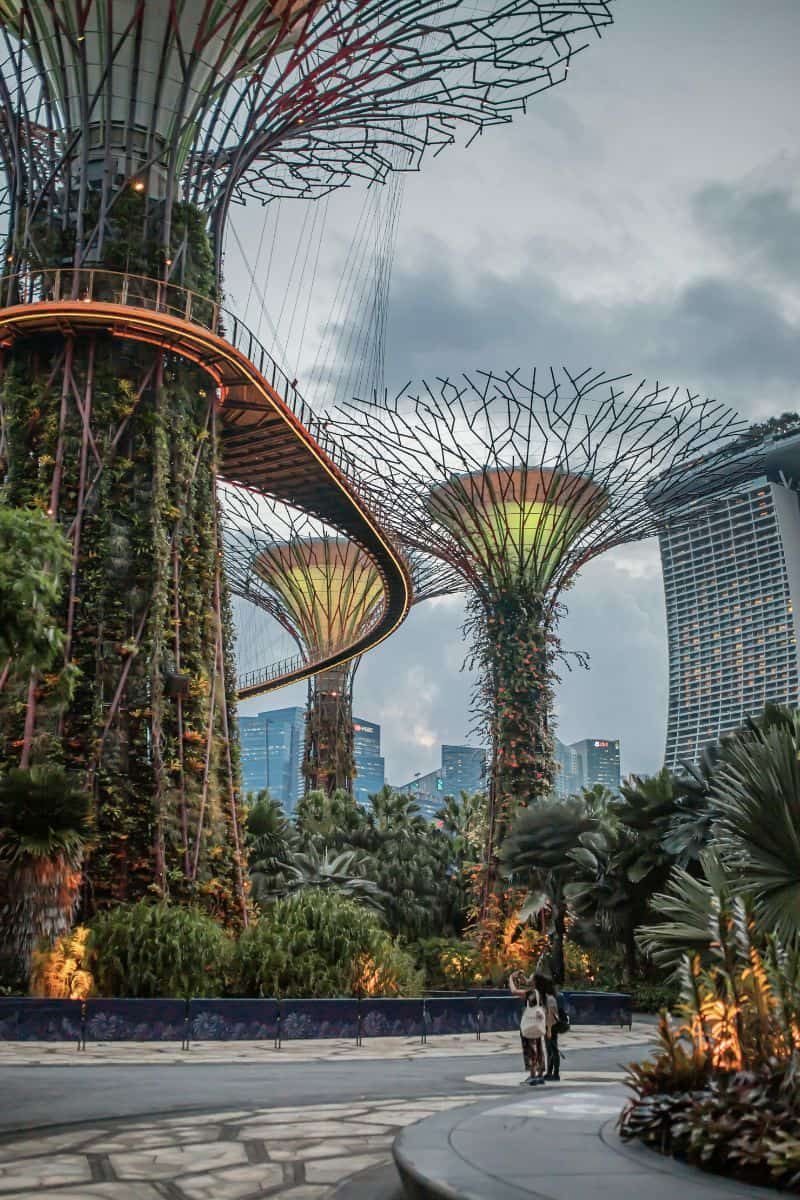 futuristic Supertree Grove at Gardens by the Bay in Singapore, featuring towering tree-like structures covered in greenery with a skywalk connecting them, set against a backdrop of modern skyscrapers and cloudy skies