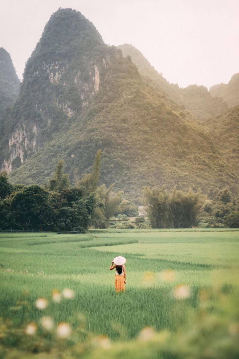 a woman wearing a traditional conical hat standing in the middle of lush green rice fields, surrounded by misty limestone mountains in rural Vietnam
