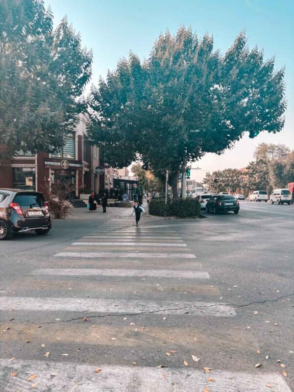 university boulevard in samarkand with a zebra crossing, a child walking across the road, leafy trees on the median, cars waiting at the signal, and small shops and cafés along the street