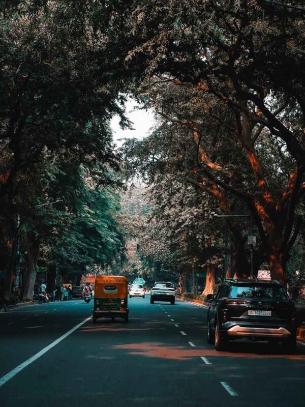 shady road in delhi with cars and an auto-rickshaw driving under dense tree cover