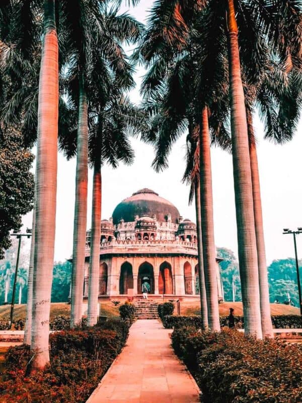 tomb of muhammad shah seen through tall palm trees in lodhi garden, delhi
