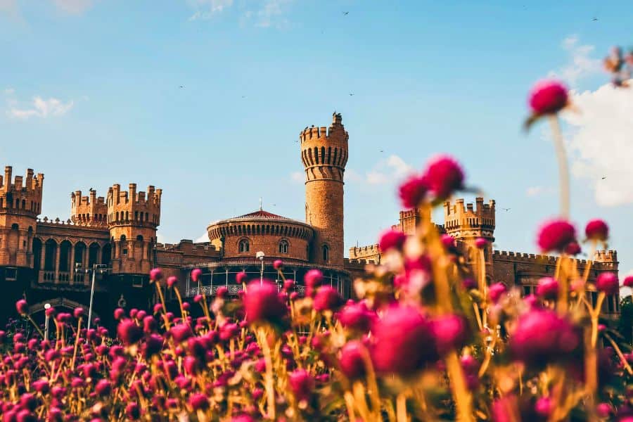 Bangalore Palace rising behind a foreground of bright pink wildflowers, its Tudor-style red brick towers and battlements glowing in warm golden light against a blue sky.