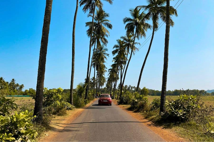 car driving along a narrow palm lined road in goa india