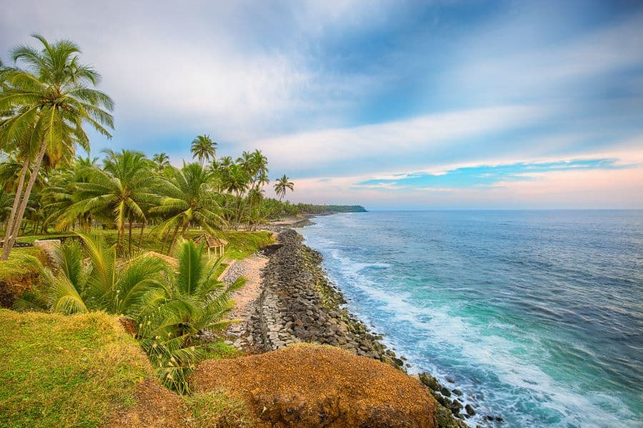 varkala cliff and palm lined coastline overlooking the arabian sea in kerala india